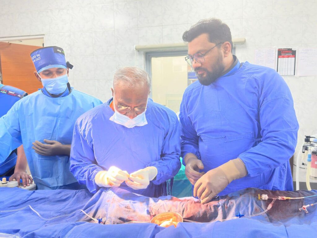 Renal Denervation Therapy